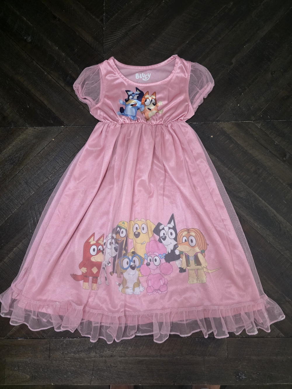 Bluey Nightgown Dress Size 3T
